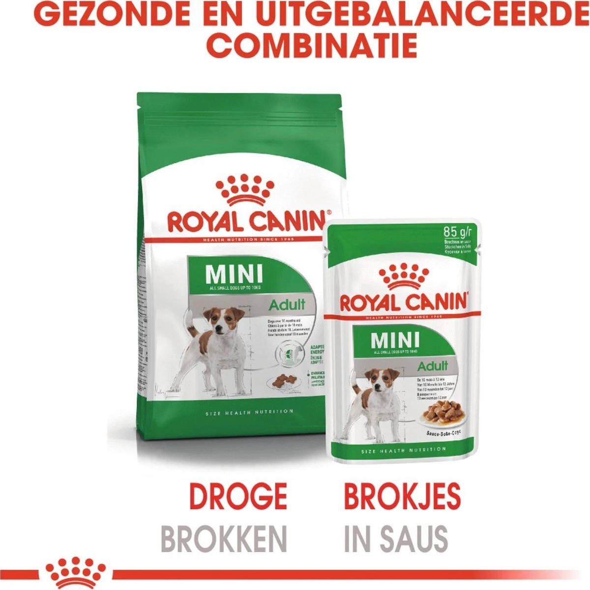 Royal Canin Shn Mini Adult Pouch - Hondenvoer - 12 X 85 G - Afbeelding 5