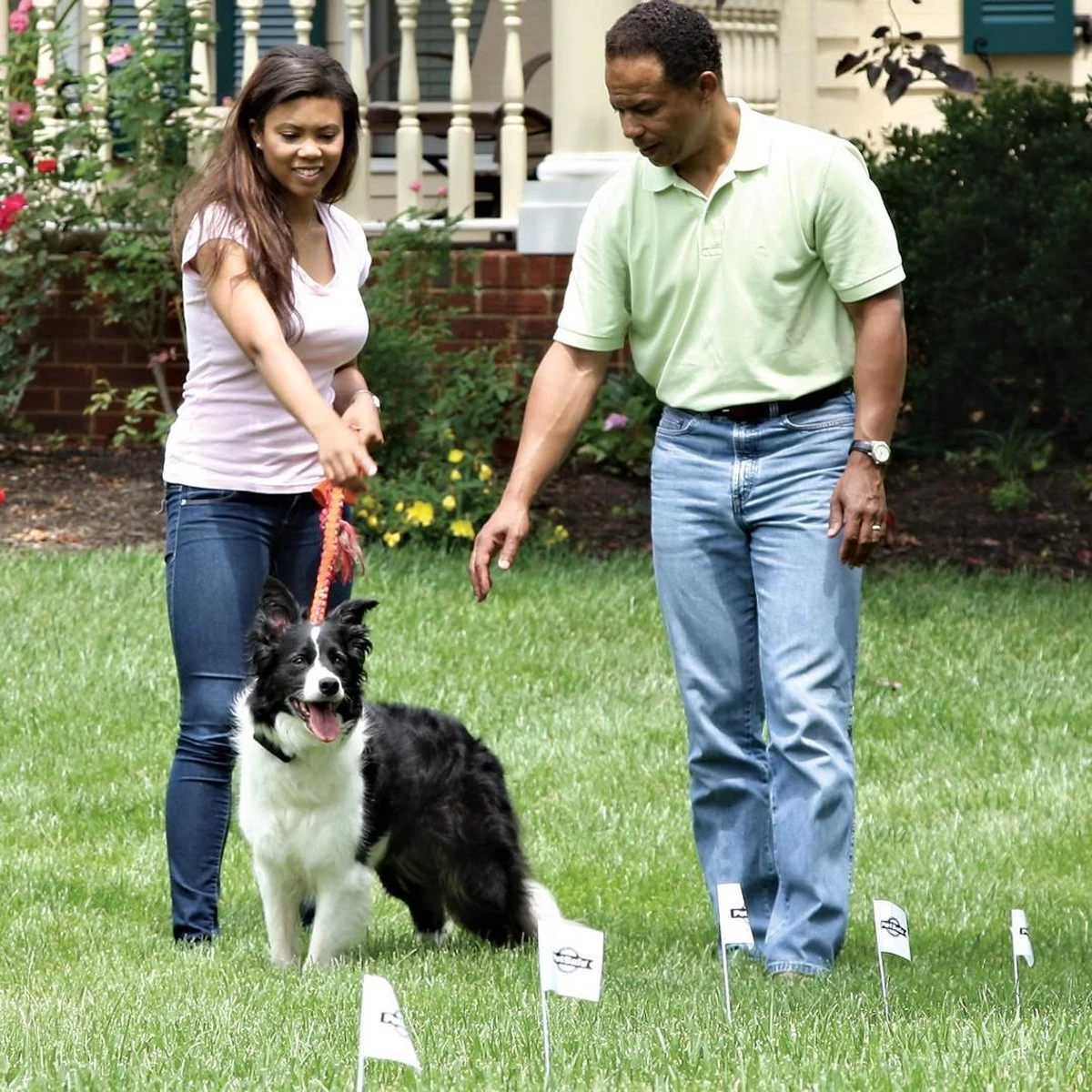 Petsafe Smartfence Omheiningsysteem - Draad Met Vlaggetjes - 150 M - Afbeelding 2