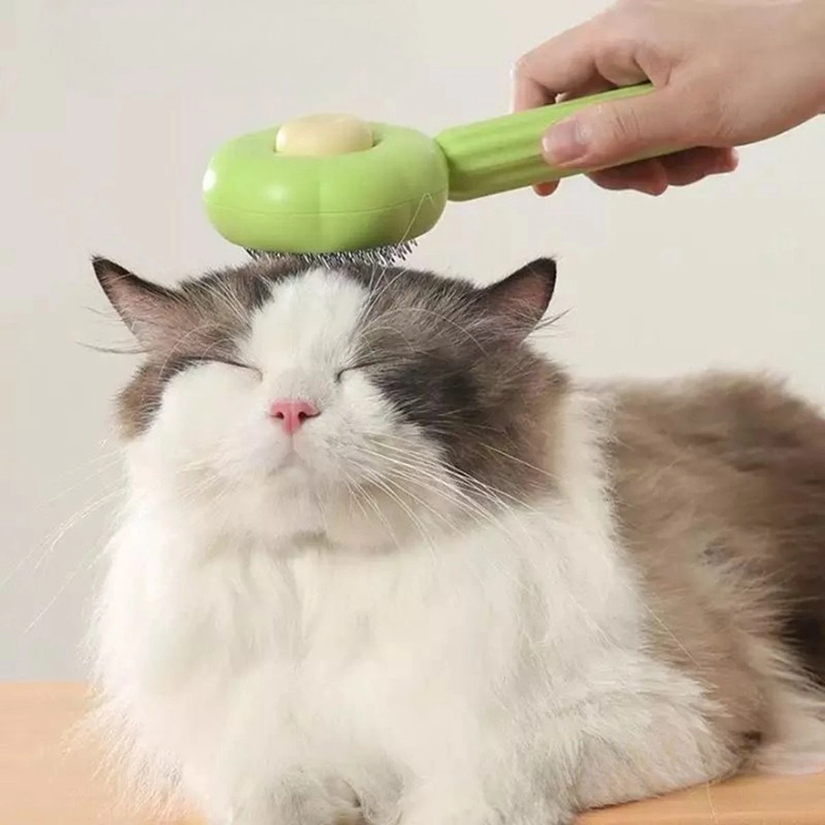 QT Petshop - Haarverwijderaar Voor Huisdieren - Groene Kattenborstel - Furminator Hondenborstel - Anti-Klit - Diervriendelijk - Dierenverzorging - Afbeelding 5