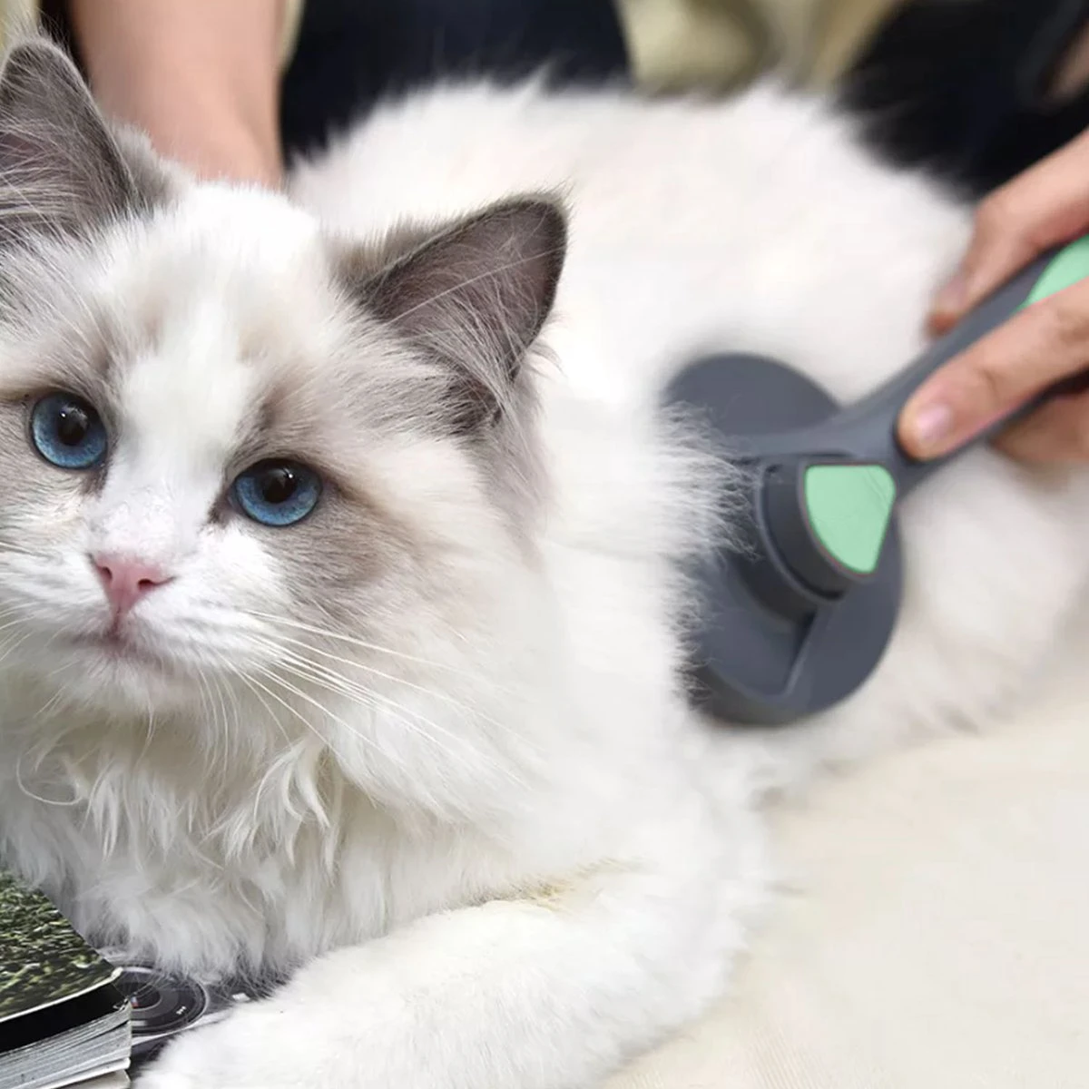 Pakeway Kattenborstel – Hondenborstel – Haarverwijderaar Voor Huisdieren – Kattenkam - Kortharig - Langharig - Inclusief Ebook! - Afbeelding 4