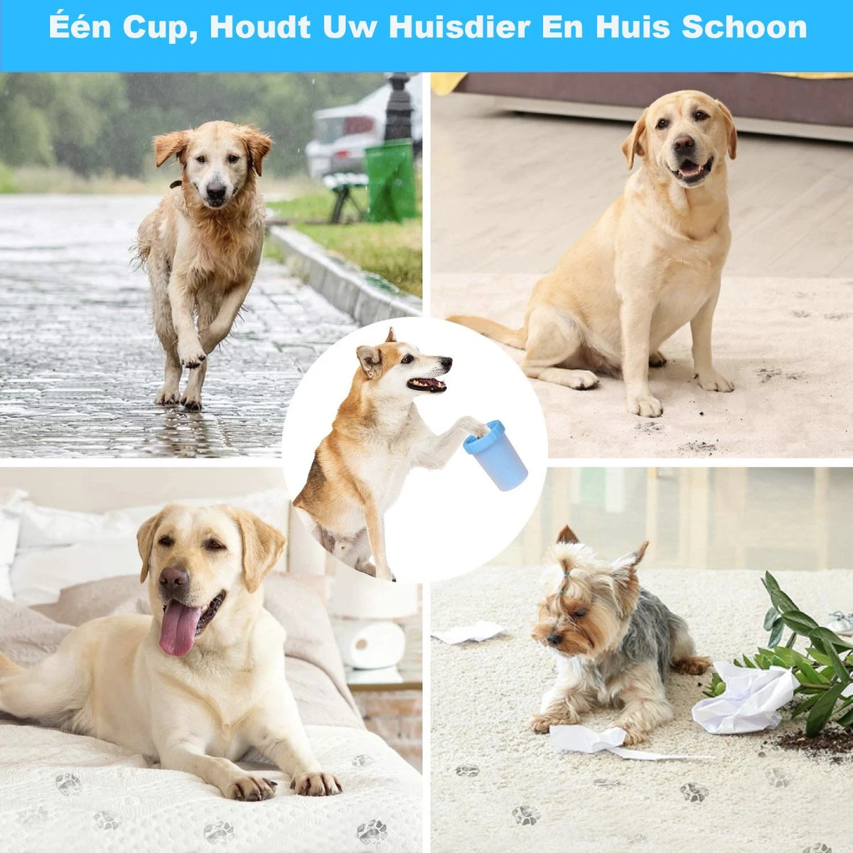 Merkloos Hondenpoot Reiniger - Hondenborstel - Borstel Hond / Kat - Hondenpoten Reiniger - Huisdier Poot Wassen - Borstel - Hondenverzorging - Verzorging Hond - Honden Wassen - Schoonmaak Borstel - Kattenborstel - Afbeelding 3