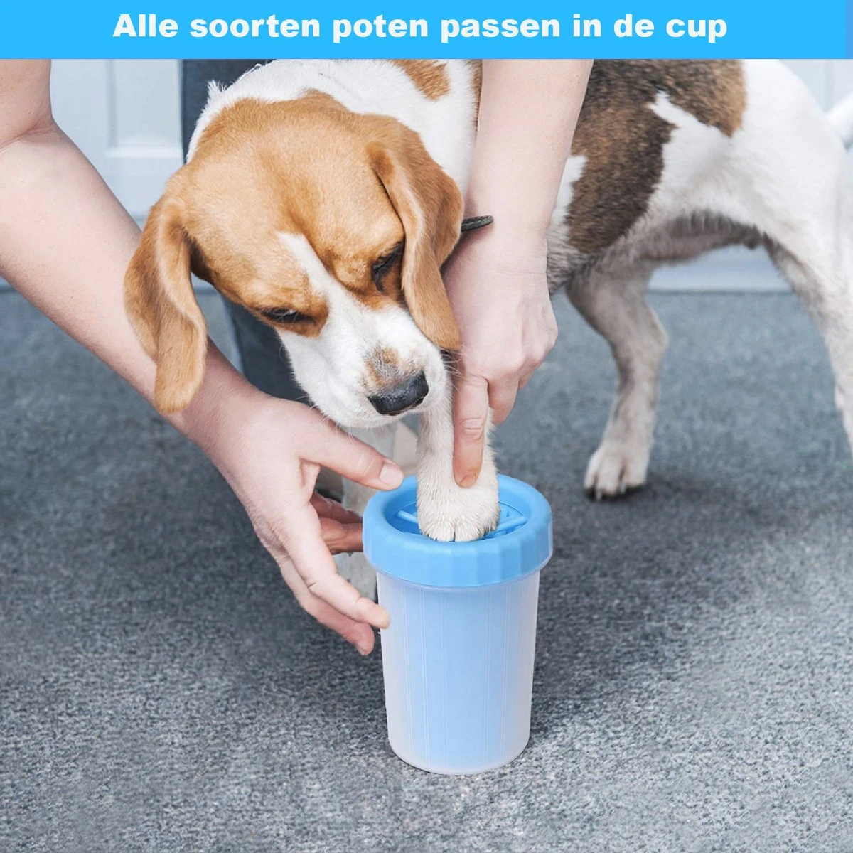 Merkloos Hondenpoot Reiniger - Hondenborstel - Borstel Hond / Kat - Hondenpoten Reiniger - Huisdier Poot Wassen - Borstel - Hondenverzorging - Verzorging Hond - Honden Wassen - Schoonmaak Borstel - Kattenborstel - Afbeelding 7