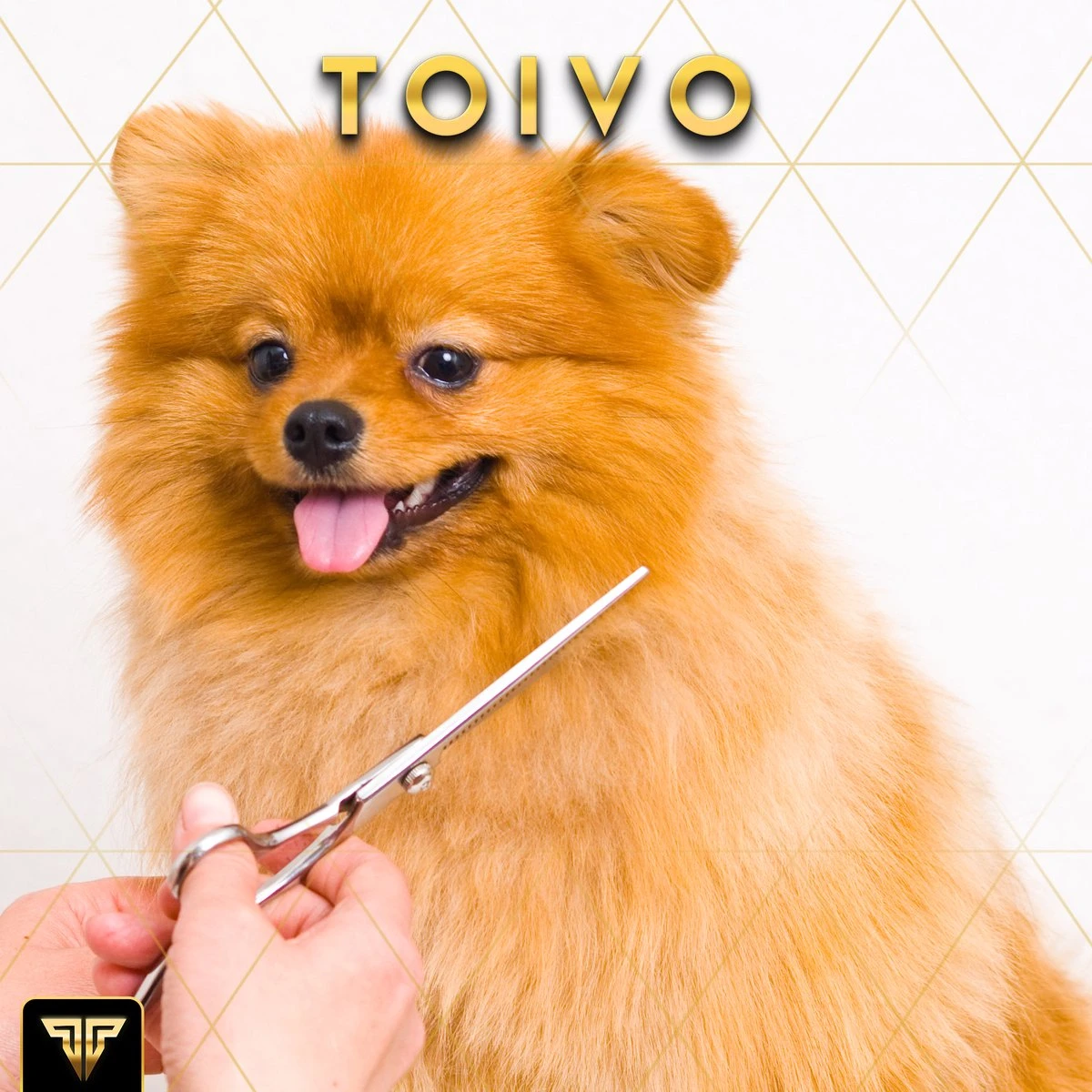 Toivo Schaar Voor Dieren - Zilver - Effileerscharen - Honden Scharenset - Dierenschaar - Set 5 Stuks - Trimscharen - Trimset - Uitdunschaar Hond - Schaar Honden - Afbeelding 7