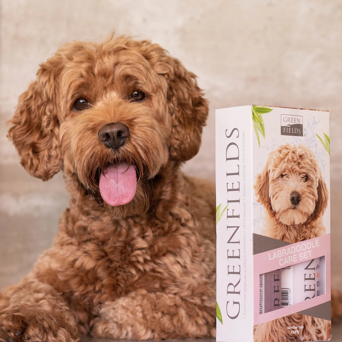 Greenfields Labradoodle Vacht Verzorgingsset - Shampoo En Anti-Klit Spray Voor Langharige Of Krullende Vacht - Afbeelding 4