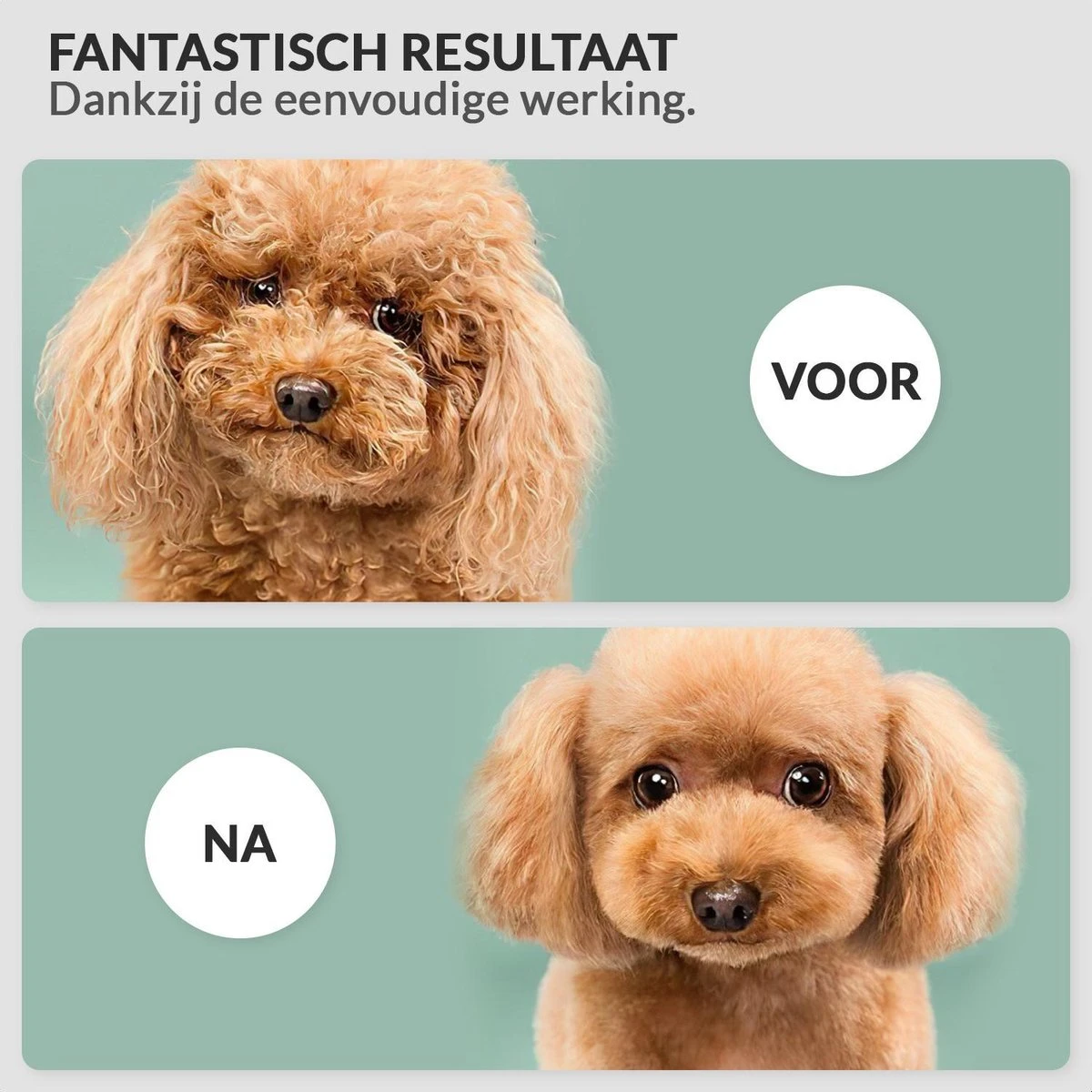 Krachtige Hondenföhn/ Waterblazer Met Draaiknop Om Overtollig Water En Stof Snel Uit De Vacht Te Blazen | Verstelbare Vermogen Standen (500W Tot 2200W) En Verstelbare Temperatuur - Type B Oranje - Afbeelding 3