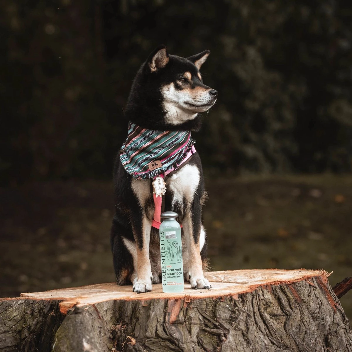 Greenfields - Krachtige Hondenshampoo Met Aloe Vera - Inhoud 270 Ml Of 5 L - 270 Ml - Afbeelding 2