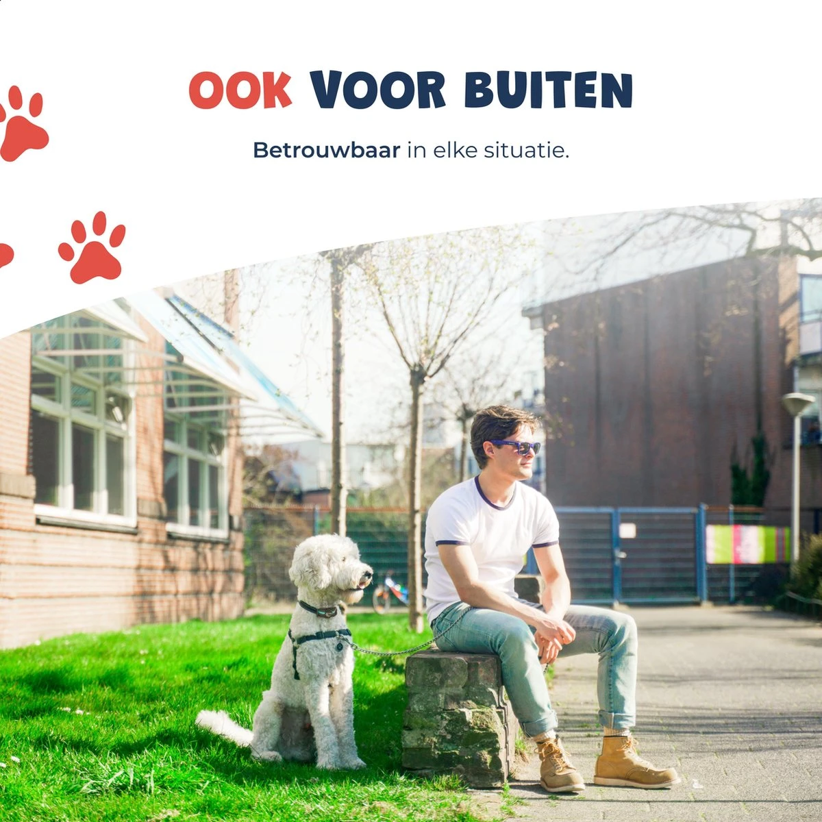 Anti Blafband - Blafband Voor Honden - Oplaadbaar - Anti Blaf Apparaat - Blafband - Diervriendelijk - Afbeelding 6