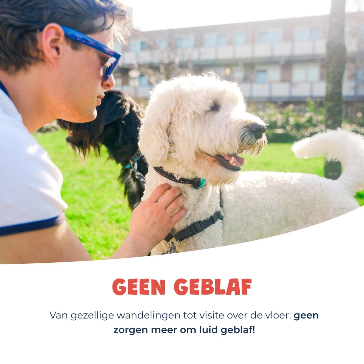 Anti Blafband - Blafband Voor Honden - Oplaadbaar - Anti Blaf Apparaat - Blafband - Diervriendelijk - Afbeelding 7