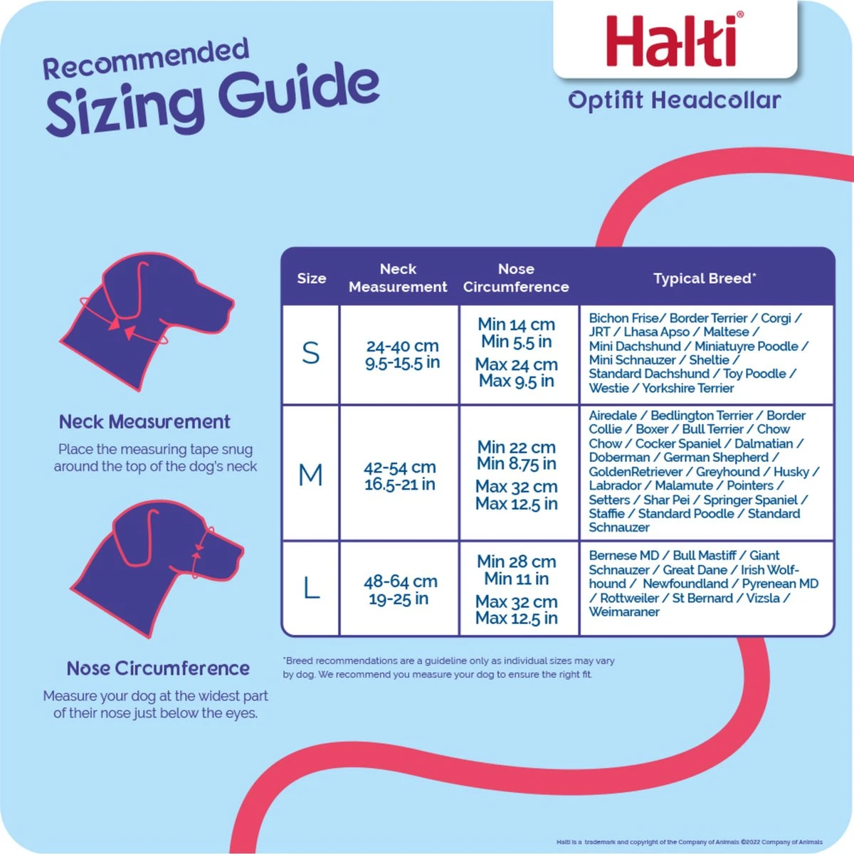 Halti OptiFit Headcollar - Hond - Anti Trekhalsband - Maat M - Voor Labrador, Boxer, Dobermann, Golden Retriever - Afbeelding 4