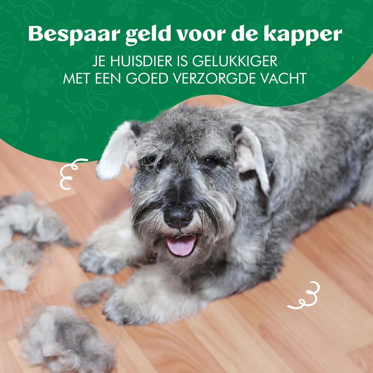 Mister Mill Professionele Set Honden Kattenborstel - Ondervachtkam Plus Slickerborstel - Afbeelding 17