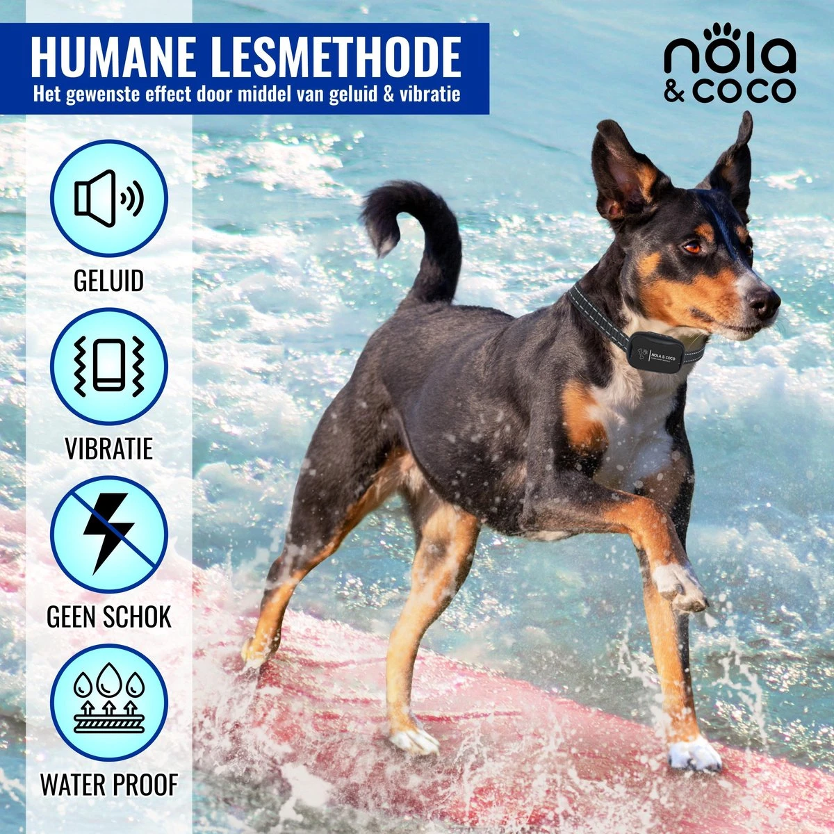 Nola & Coco® Oplaadbare Anti Blafband - 4 Kleuren - Zonder Schok - Waterdichte Diervriendelijke Blaf Halsband - Opvoedingshalsband - Voor Grote En Kleine Honden - Lichte Vibratie En Geluid - 3 Tot 60kg - Afbeelding 4
