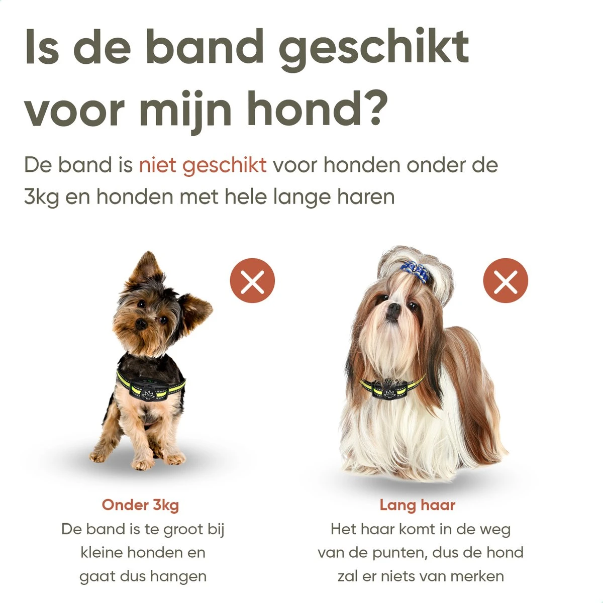 Premium Anti Blafband - Diervriendelijke Opvoedingshalsband Zonder Schok - Trainingshalsband Voor Grote En Kleine Honden - Anti Blaf Band - Correctie Halsband - Afbeelding 2