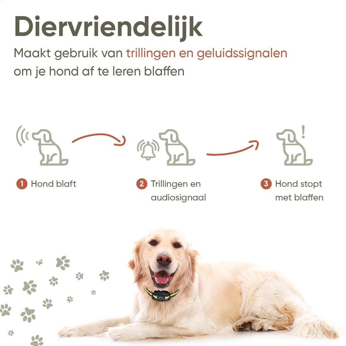 Premium Anti Blafband - Diervriendelijke Opvoedingshalsband Zonder Schok - Trainingshalsband Voor Grote En Kleine Honden - Anti Blaf Band - Correctie Halsband - Afbeelding 3