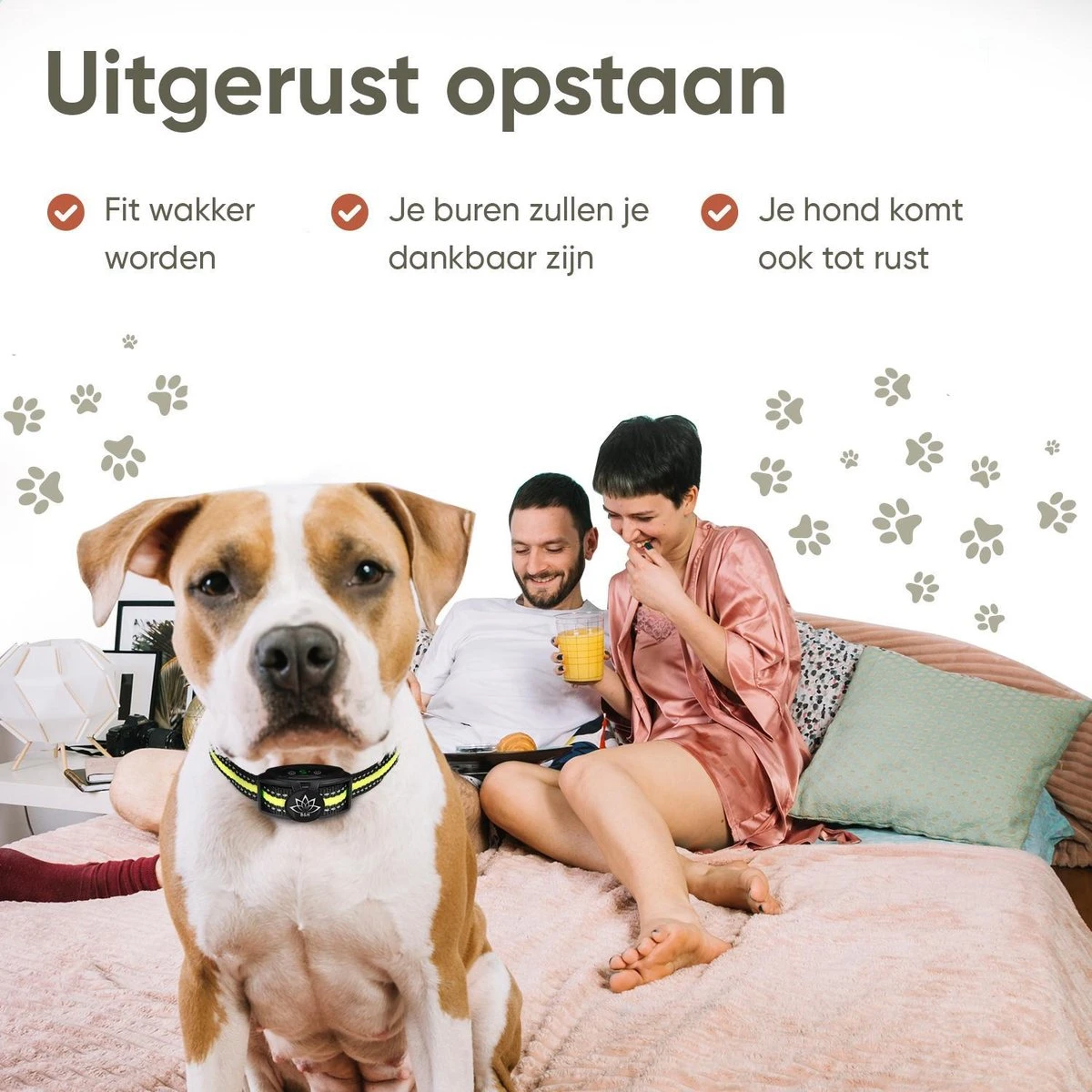 Premium Anti Blafband - Diervriendelijke Opvoedingshalsband Zonder Schok - Trainingshalsband Voor Grote En Kleine Honden - Anti Blaf Band - Correctie Halsband - Afbeelding 6