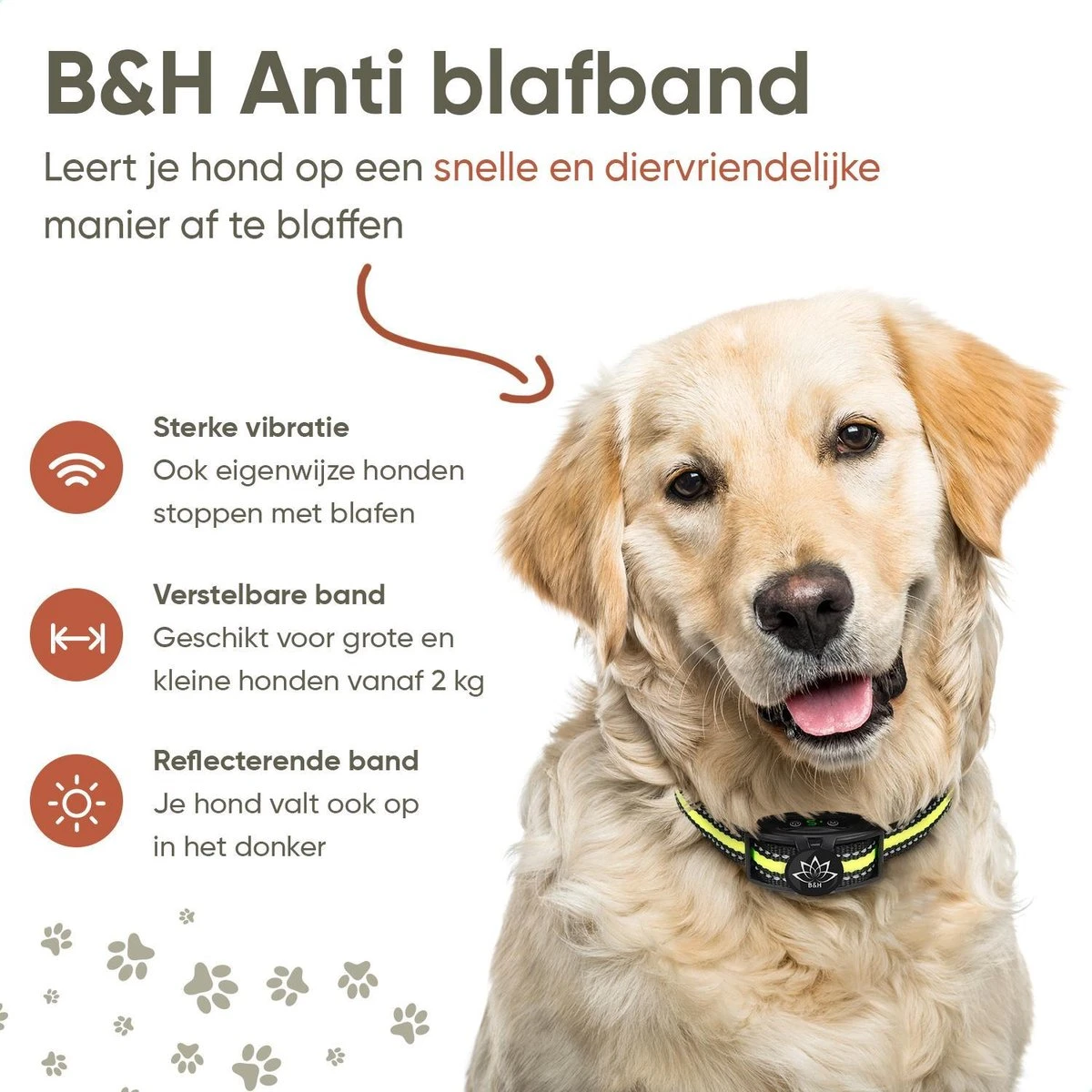 Premium Anti Blafband - Diervriendelijke Opvoedingshalsband Zonder Schok - Trainingshalsband Voor Grote En Kleine Honden - Anti Blaf Band - Correctie Halsband - Afbeelding 8