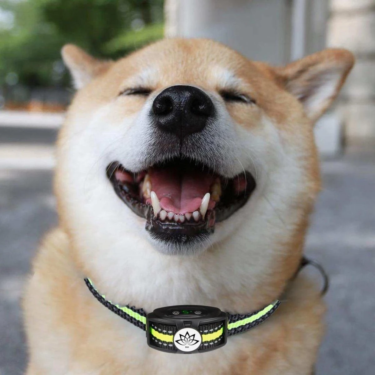 Premium Anti Blafband - Diervriendelijke Opvoedingshalsband Zonder Schok - Trainingshalsband Voor Grote En Kleine Honden - Anti Blaf Band - Correctie Halsband - Afbeelding 9