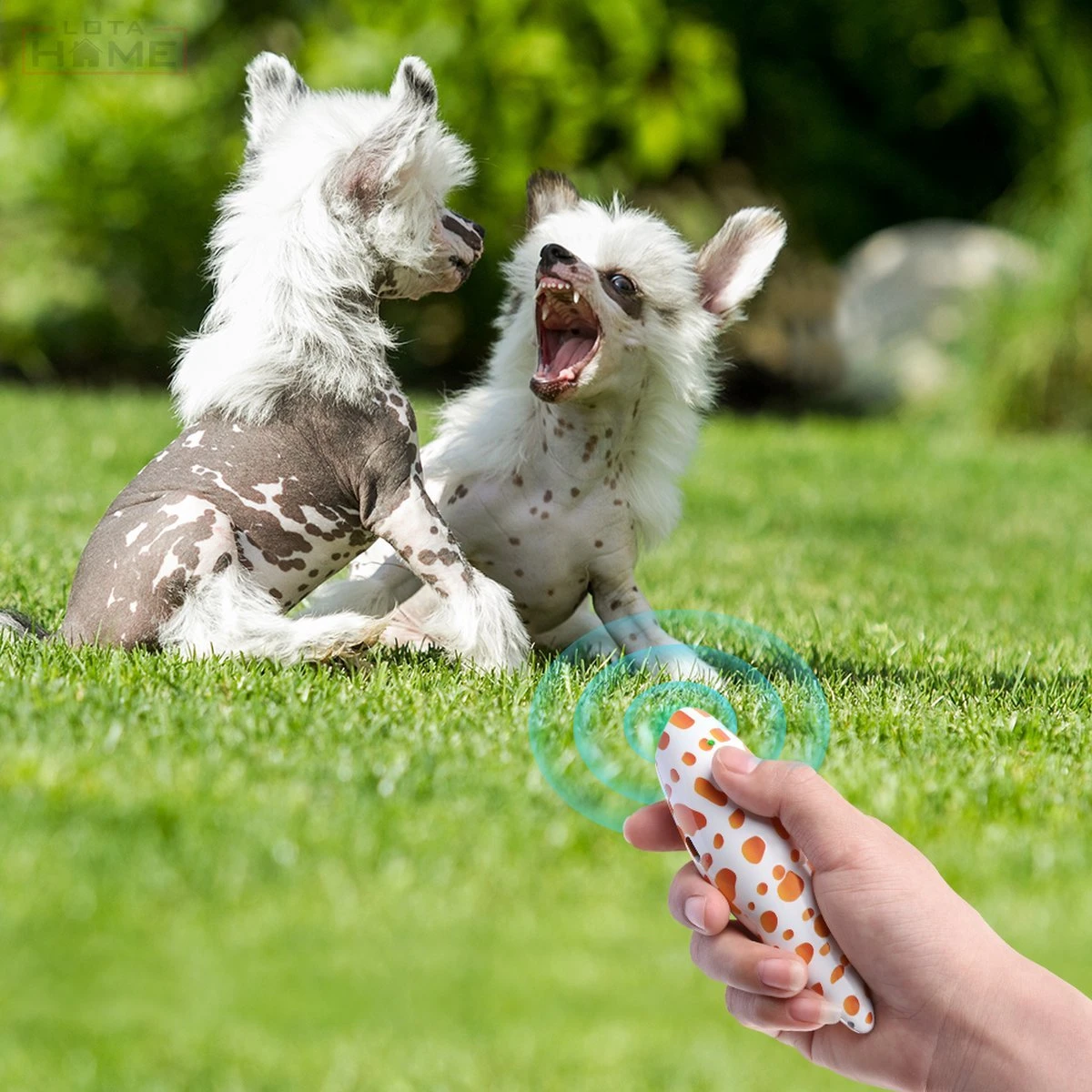 Merkloos LotaHome - Anti Blaf Apparaat - Hondentrainer Voor Binnen En Buiten - Bereik Tot 15 Meter - Diervriendelijk - Zonder Schok - Ultrasone - Voor Alle Honden - Inclusief Clicker - Afbeelding 6