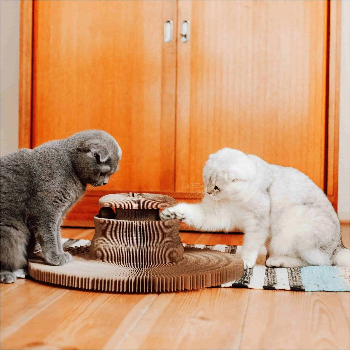 District 70 MAZE 3-in-1 Opvouwbare Kartonnen Kattenmand - Inclusief Catnip Balletje - Voor Slapen, Spelen En Krabben! - Afbeelding 4