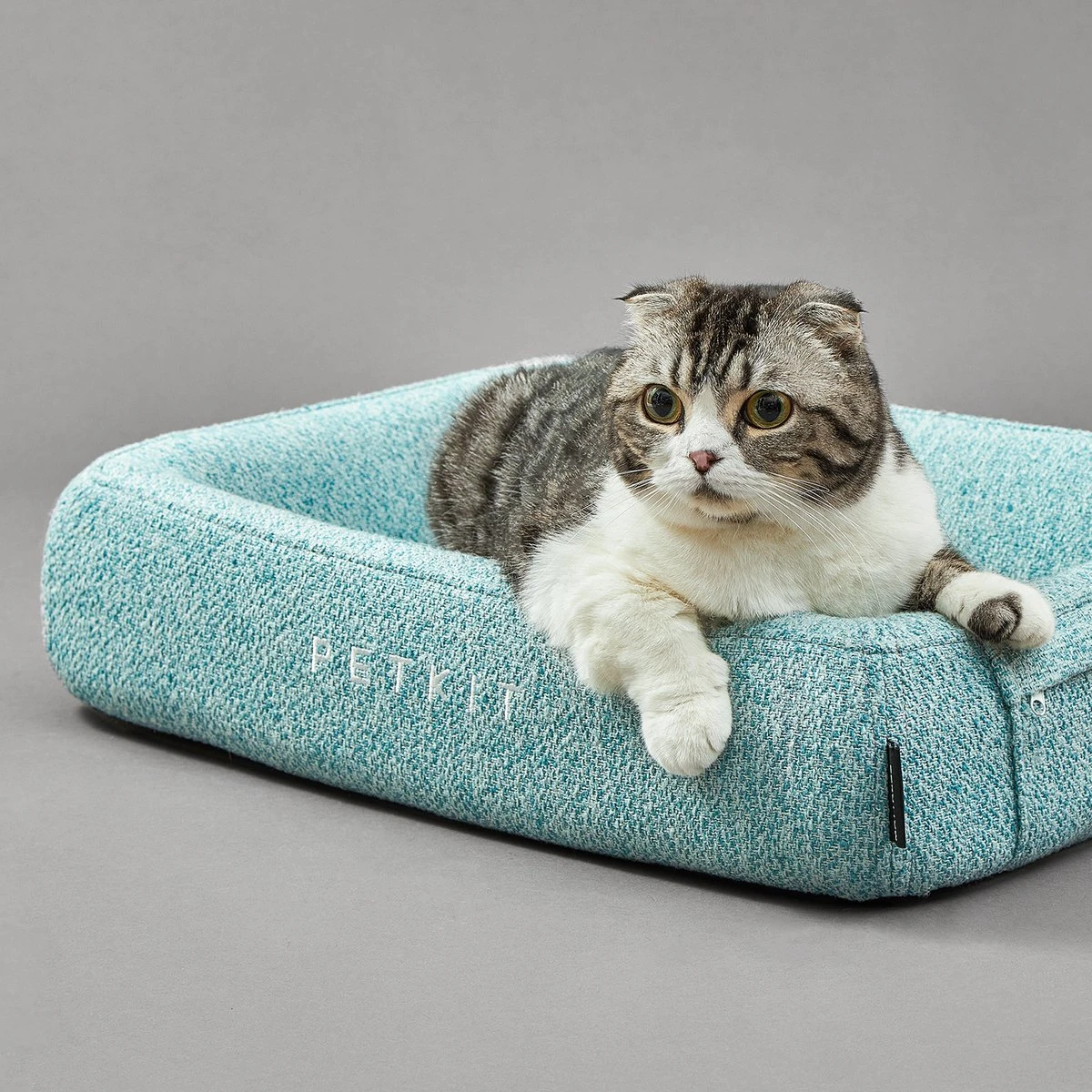 PETKIT® Four Season - Hondenmand - Kattenmand - Wasbaar - Memory Foam - Maat L - Afbeelding 5