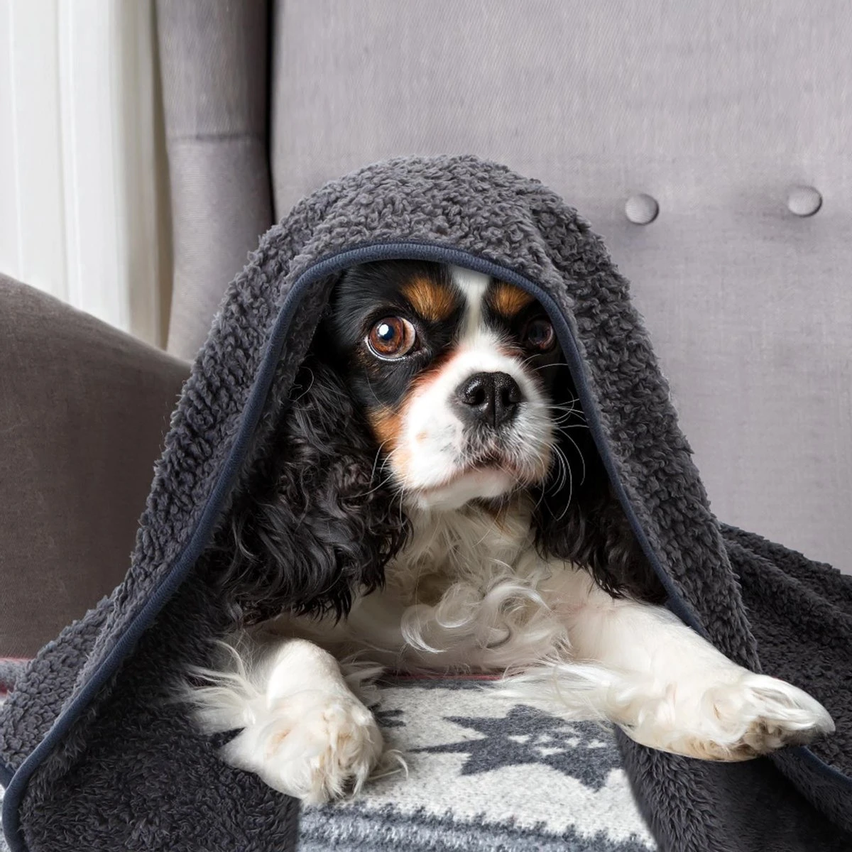 Nobleza 40UWK Hondendeken - Dierenmat - Benchkleed - 120x100cm - Grijs - Afbeelding 5