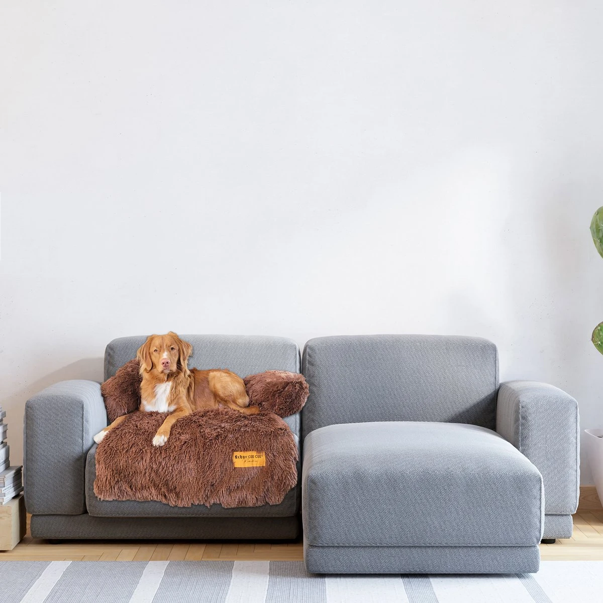 Origineel Hondendeken Voor Bank– Hondenkleed Fluffy – Pluche Hondenbed - Hondenmand Premium - Volledig Afritsbaar - Afbeelding 3