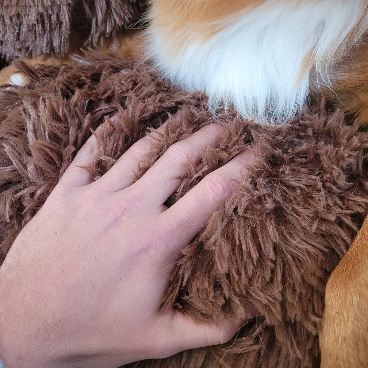 Origineel Hondendeken Voor Bank– Hondenkleed Fluffy – Pluche Hondenbed - Hondenmand Premium - Volledig Afritsbaar - Afbeelding 6