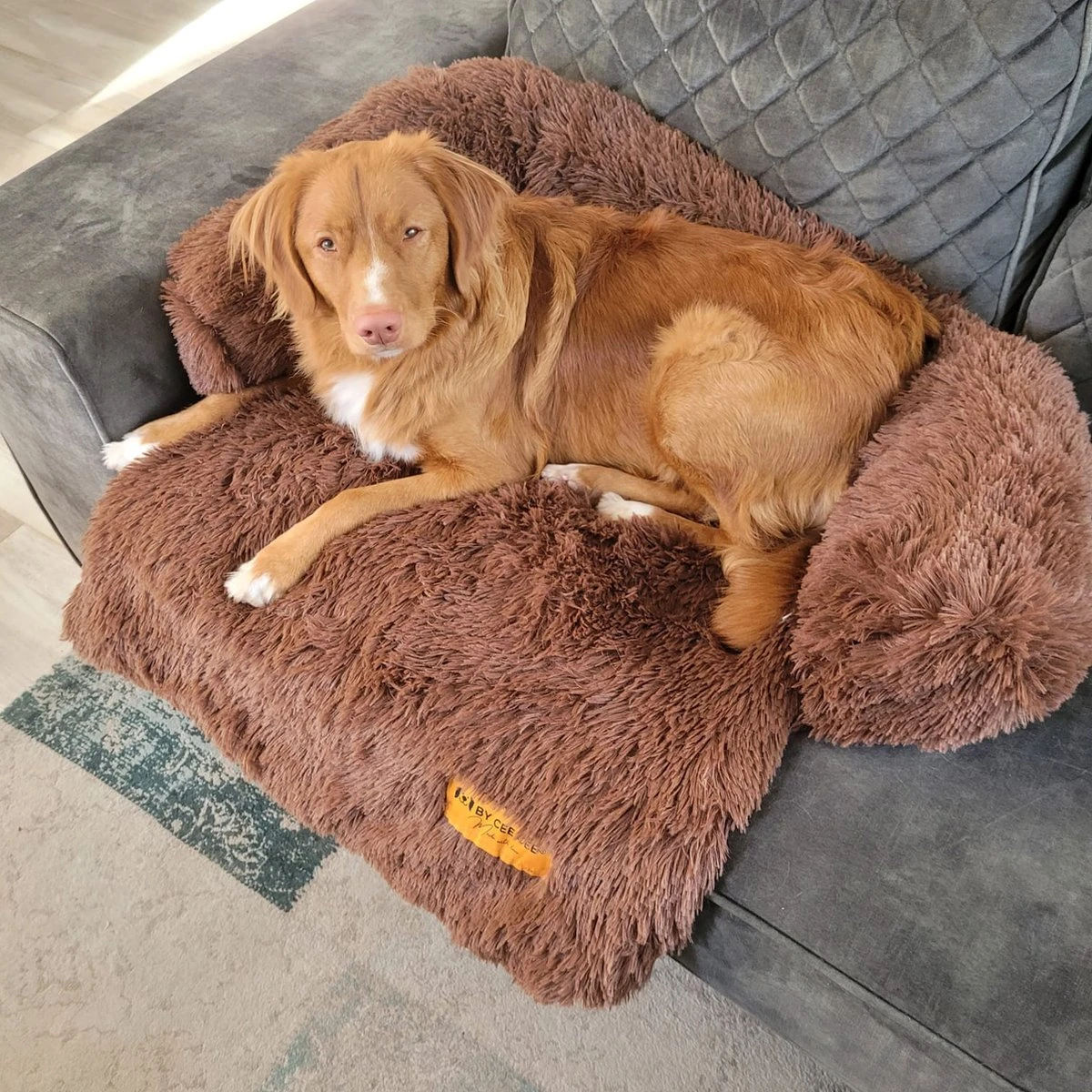 Origineel Hondendeken Voor Bank– Hondenkleed Fluffy – Pluche Hondenbed - Hondenmand Premium - Volledig Afritsbaar - Afbeelding 8