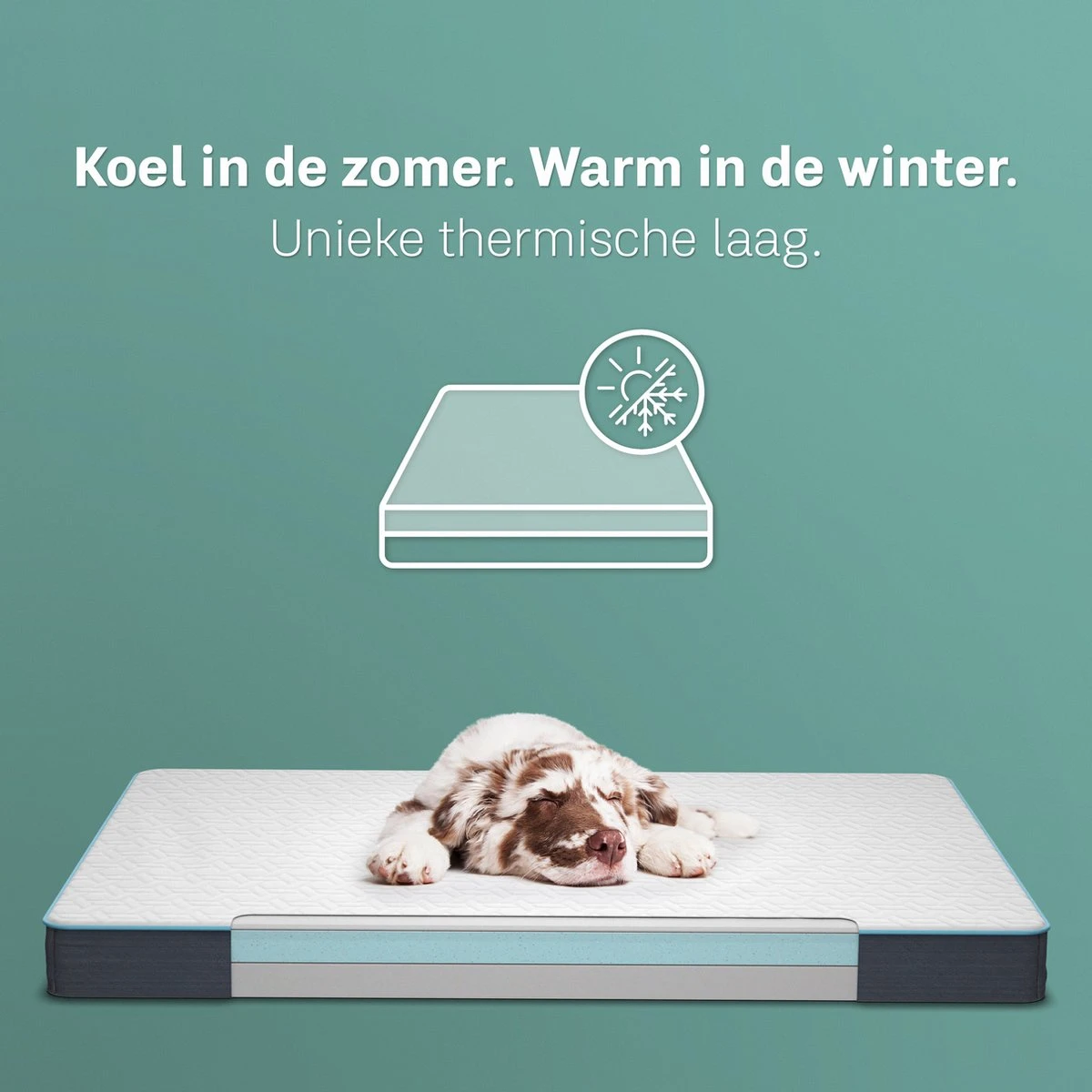 CozySense® - Orthopedisch Hondenkussen - Hondenkussen 75 X 45 Cm - Ook Geschikt Als Benchkussen & Hondenbed - Hondenkussen Bank - Traagschuim - Waterdicht - Wasbare Hoes - Maat M - Afbeelding 4