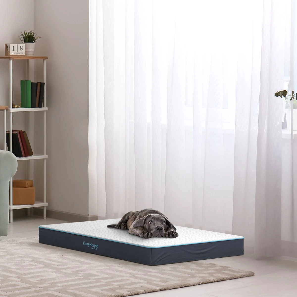 CozySense® - Orthopedisch Hondenkussen - Hondenkussen 75 X 45 Cm - Ook Geschikt Als Benchkussen & Hondenbed - Hondenkussen Bank - Traagschuim - Waterdicht - Wasbare Hoes - Maat M - Afbeelding 6