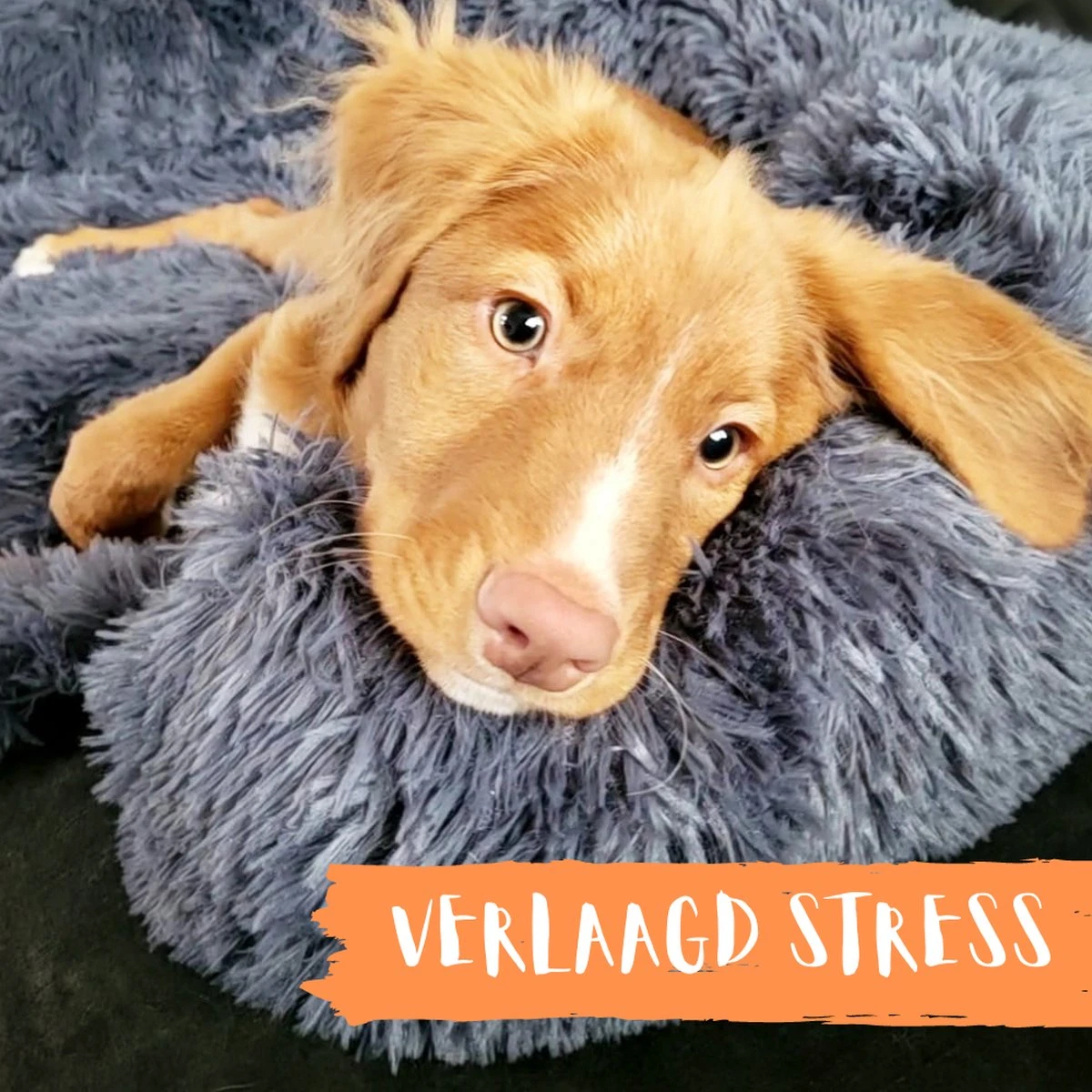 Origineel Hondendeken Voor Bank– Hondenkleed Fluffy – Pluche Hondenbed - Hondenmand Premium - Volledig Afritsbaar - Afbeelding 11