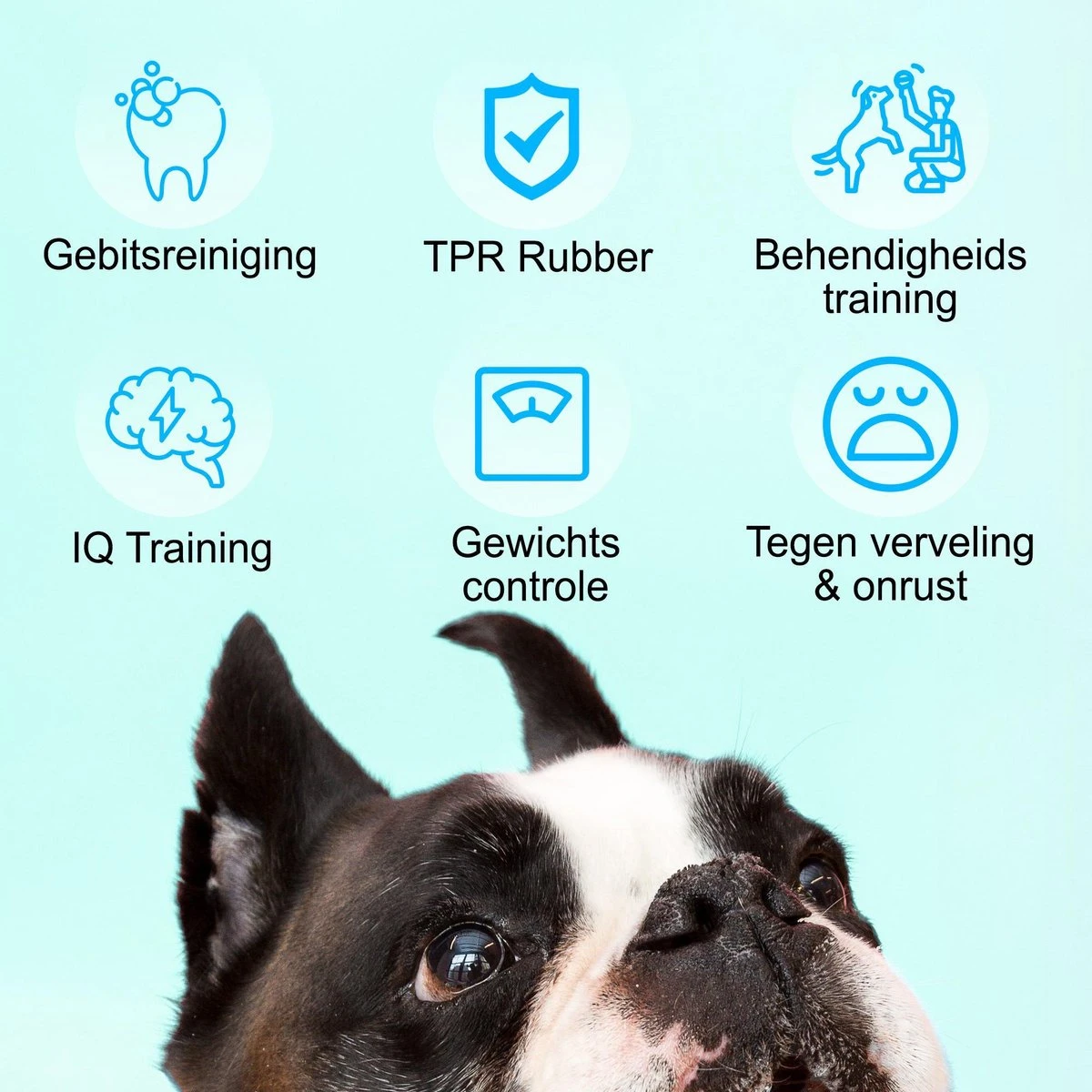 Merkloos Corn Dog Toothbrush - Honden Speelgoed - Hondenspeelgoed - Honden Tandenborstel - Gezond Dieet - Hondenspeeltje - Honden Speelgoed Intelligentie - Afbeelding 2