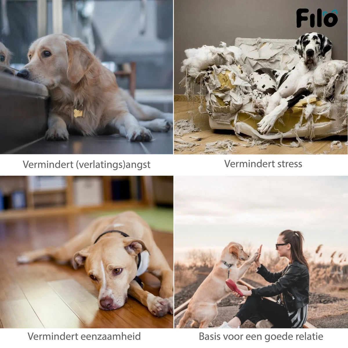 Filo Hondenknuffel Met Hartslag En Warmtebron - Hartslagknuffel Hondenspeelgoed Snuggle Puppy - Knuffel Met Hartslag - Heartbeat Knuffel Hond - Afbeelding 6