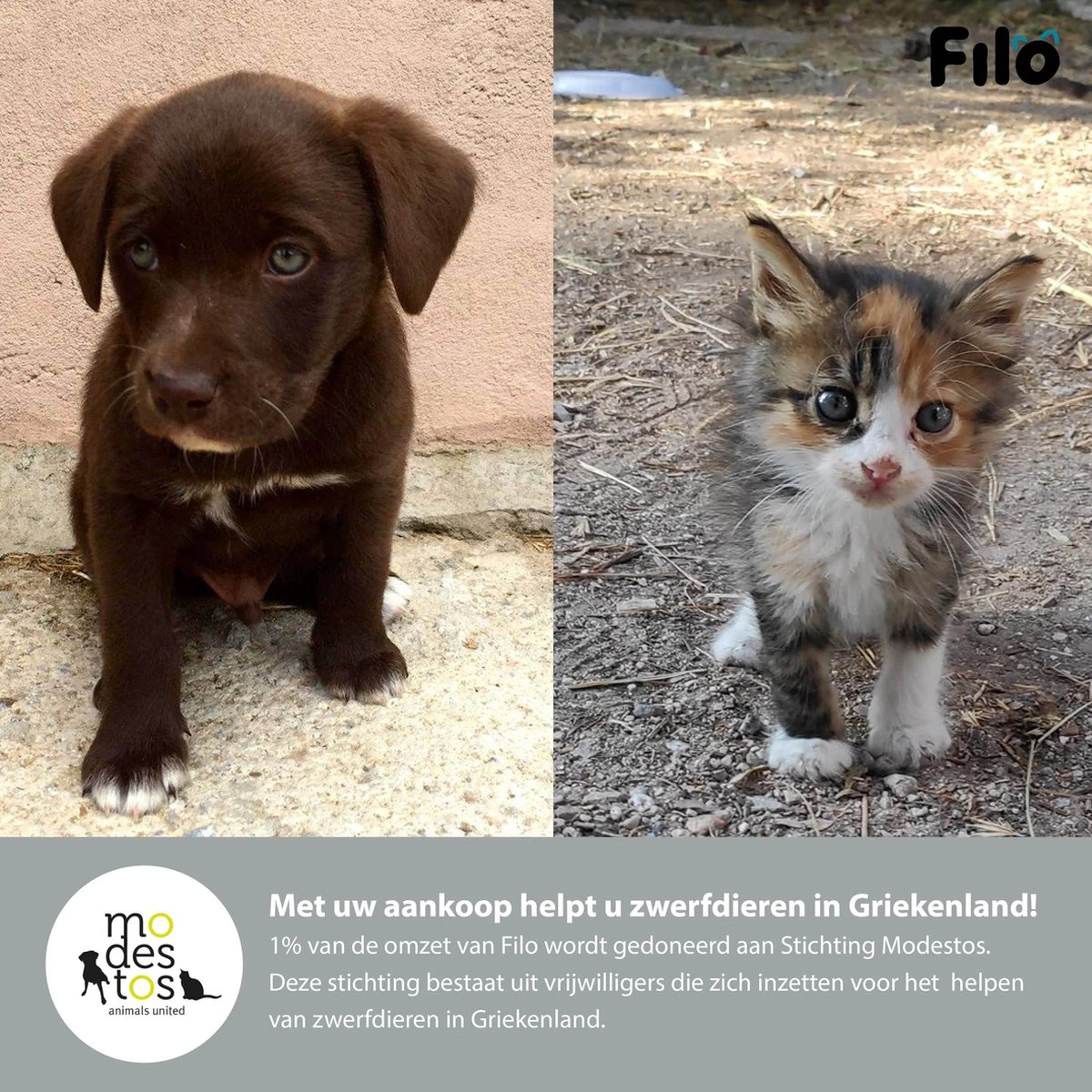 Filo Hondenknuffel Met Hartslag En Warmtebron - Hartslagknuffel Hondenspeelgoed Snuggle Puppy - Knuffel Met Hartslag - Heartbeat Knuffel Hond - Afbeelding 8