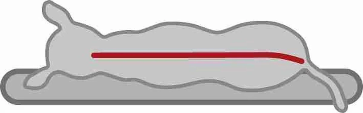 Trixie Vitaal Orthopedische Kussen Taupe/Lichtgrijs - 80 X 50 CM - Afbeelding 3