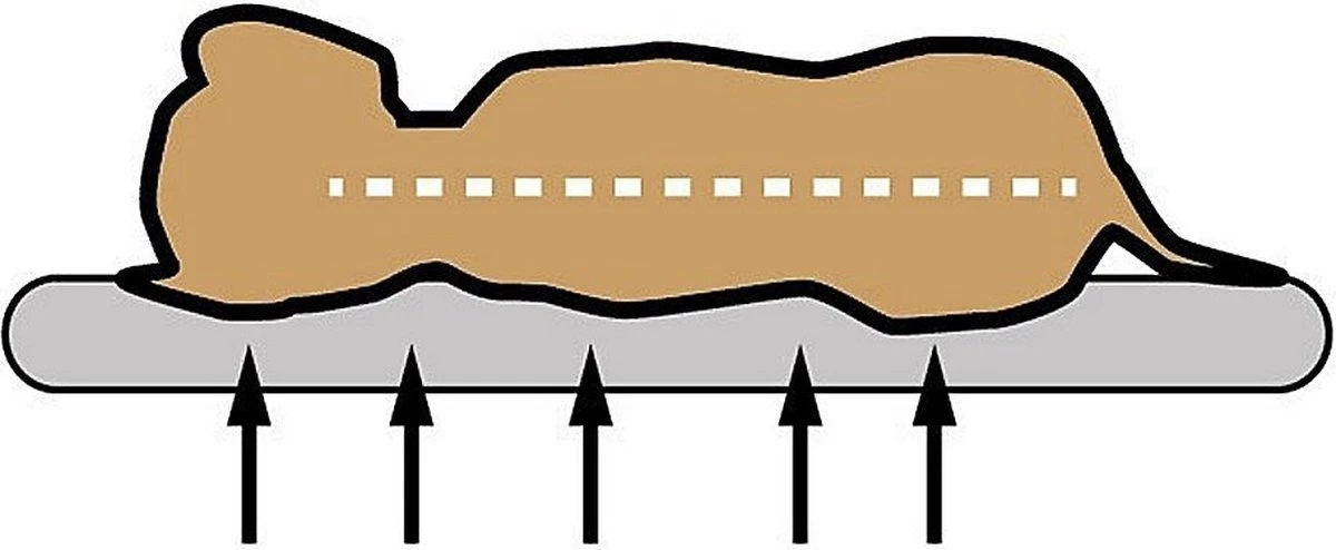 Sun Garden Pallina Orthopedisch Hondenkussen 120x80x27cm Antraciet/Grijs - Afbeelding 3