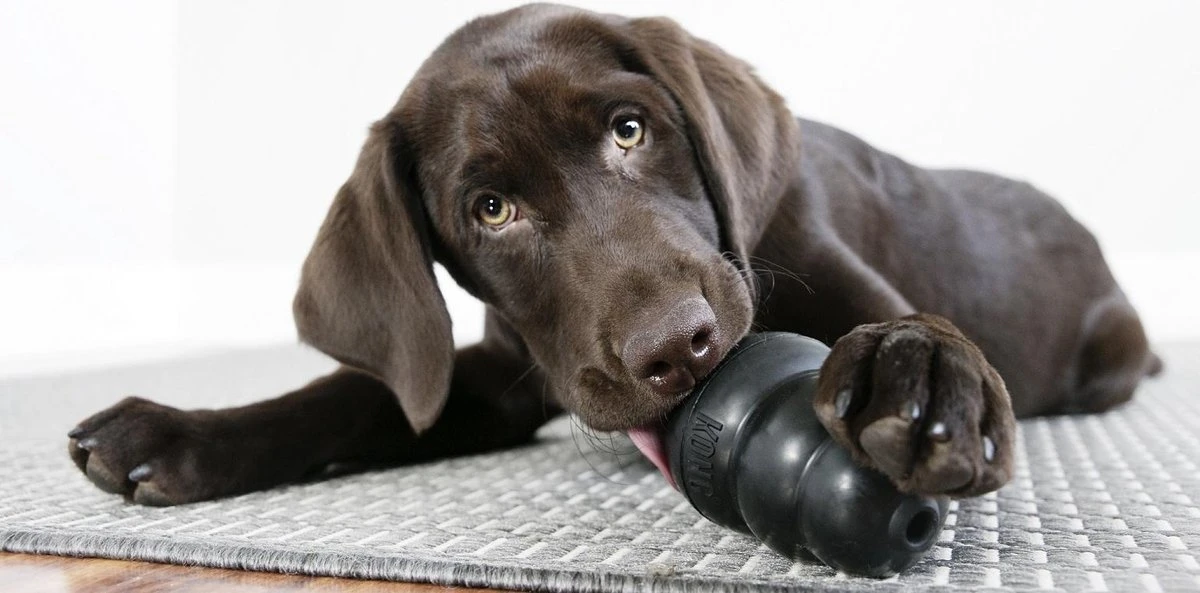 Kong Extreme - Hondenspeelgoed - Zwart - XL - Afbeelding 8