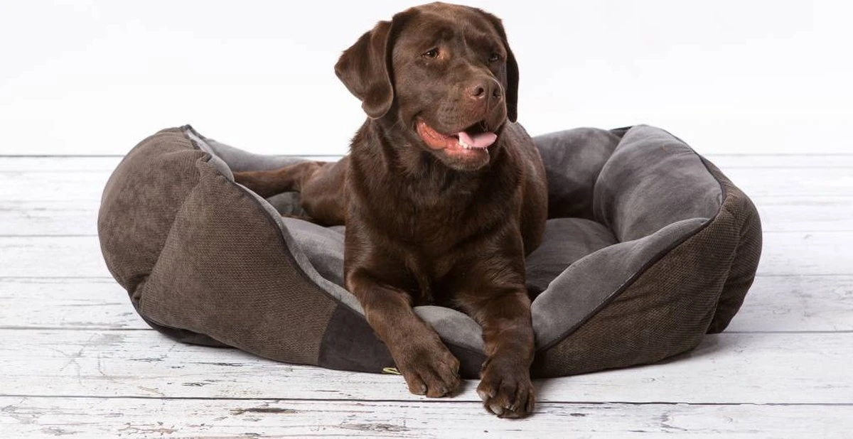 Hondenmand Zacht En Stevig, Anti-Slip En Wasbaar - Scruffs Chester Box Bed - In Grijs En Bruin In Maat S Tot XL - Kleur: Grijs, Maat: Extra Large - Afbeelding 11