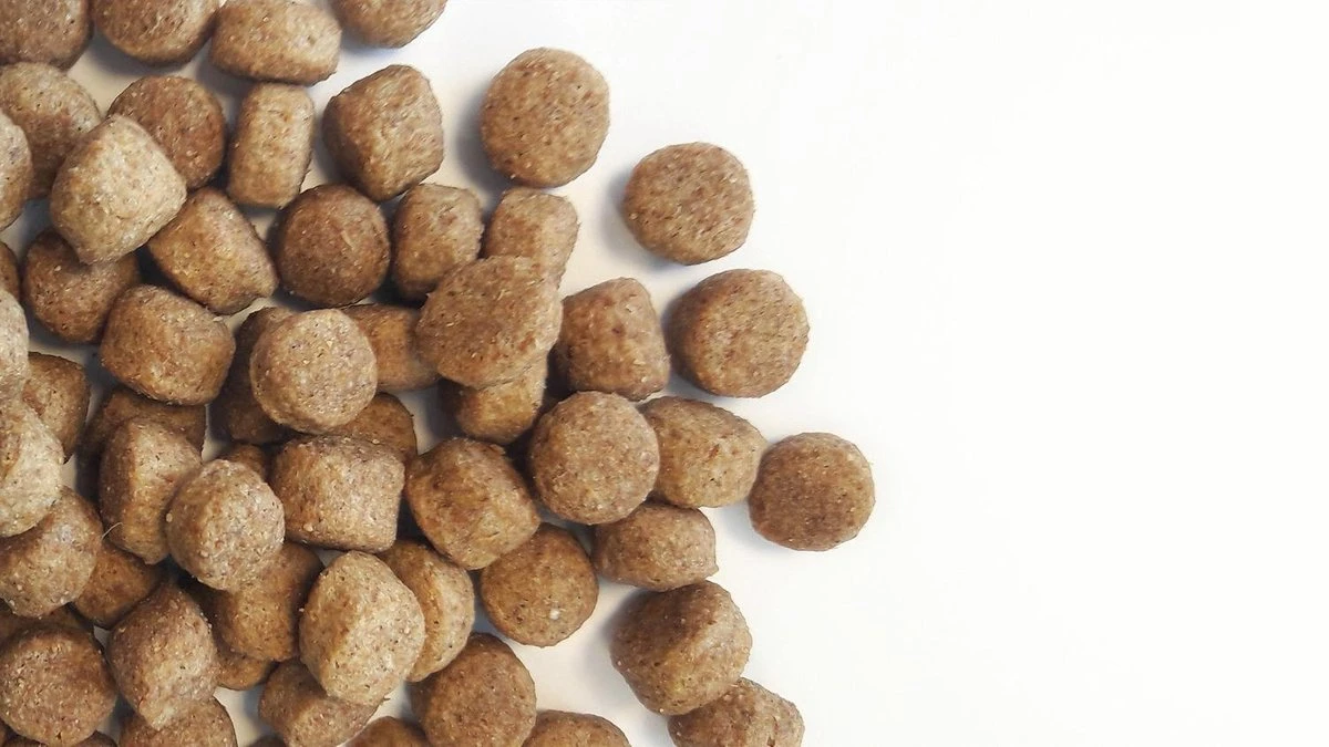 Carocroc Senior Silver 18/10 - Hondenvoer - 15 Kg - Afbeelding 6