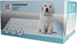 Homestyle Budget Trainingsmat - Zindelijkstraining - 100 Stuks - 58x58 Cm