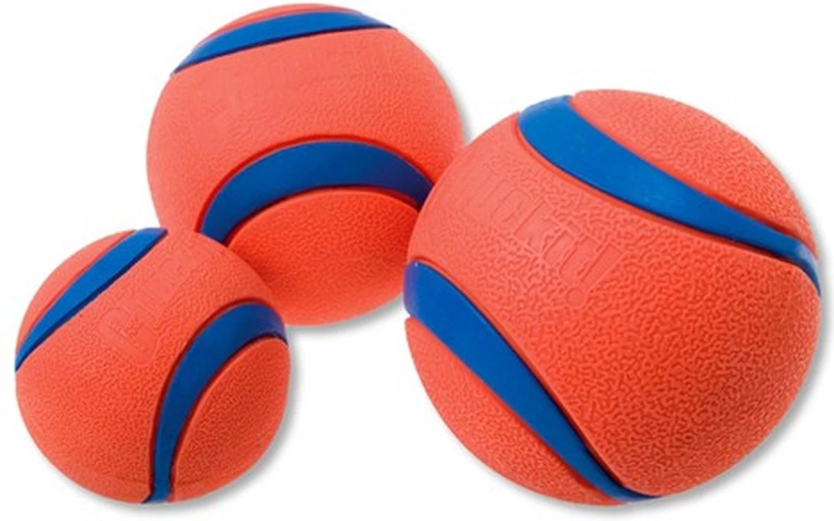 Chuckit! 10 Chuckit Ballen In Emmer - Chuckit - Veilig Voor Gebit - Hondenbal - Past In Werpstok - Afbeelding 3