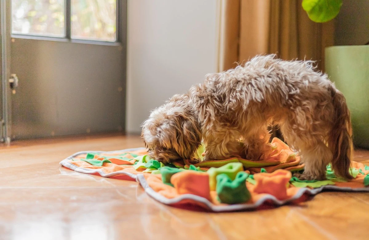 SNUFFIES® Snuffelmat Belle 60x50cm – Snuffelmat – Snuffelmatten - Honden Speelgoed - Honden Speelgoed Intelligentie - Snuffelmat Hond - Snuffelmatten – Hersenwerk – Honden Speeltjes – Puppy - Puppy Speelgoed - Honden Denkspelletjes - Afbeelding 9