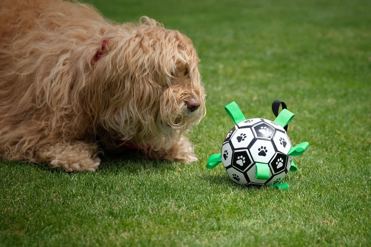 Honden Speelgoed Bal Voetbal Extra Sterk Met Handvaten Ball Hondenbal - 15 Cm - Dutchwide - Afbeelding 12