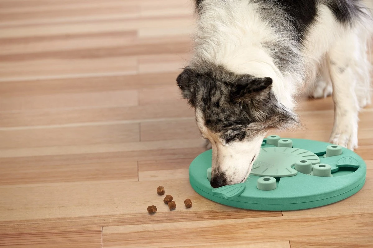 Nina Ottosson Dog Worker Composiet 34,5x34,5x5 Cm - Afbeelding 6