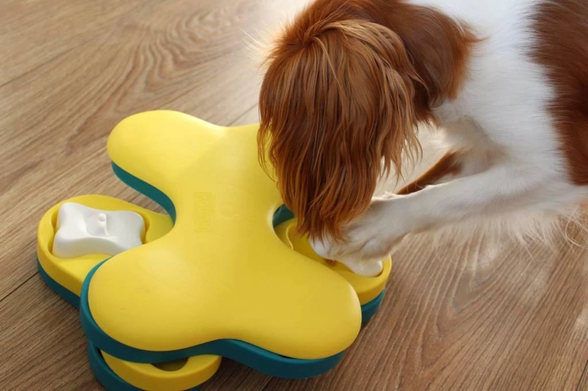 Nina Ottosson Dog Tornado Blu - Afbeelding 10