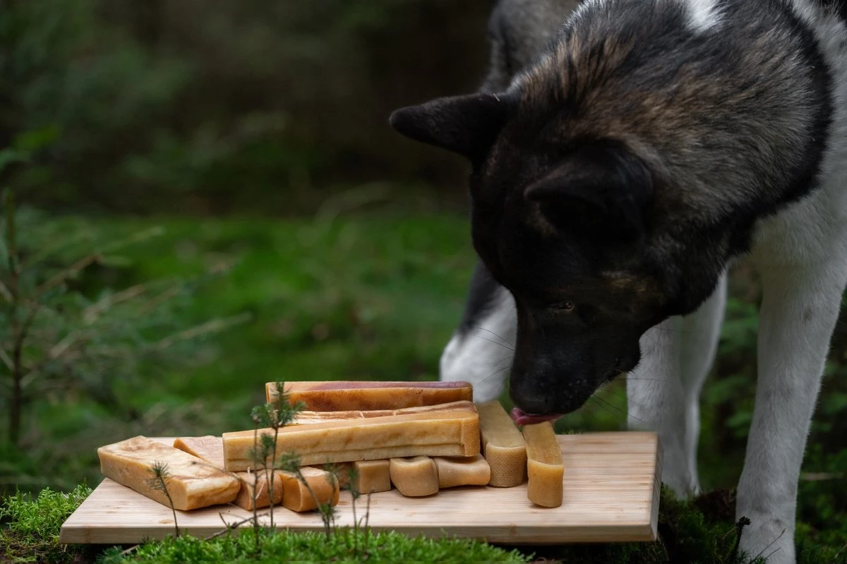 The Original Himalayan Yak Kauwbot Large Puur Fit - Afbeelding 3