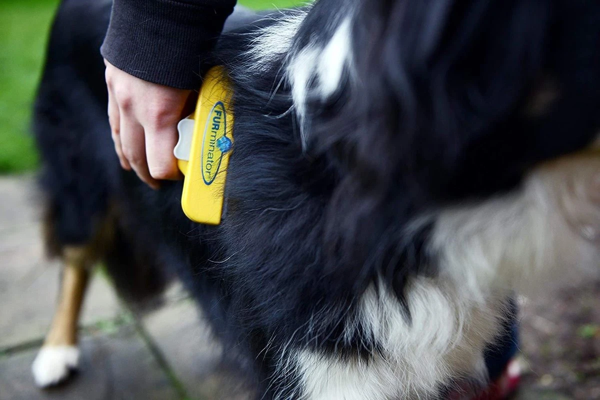 Furminator® Hond Langhaar - Vermindert Haaruitval Tot 90% - Hondenborstel - L - Afbeelding 4