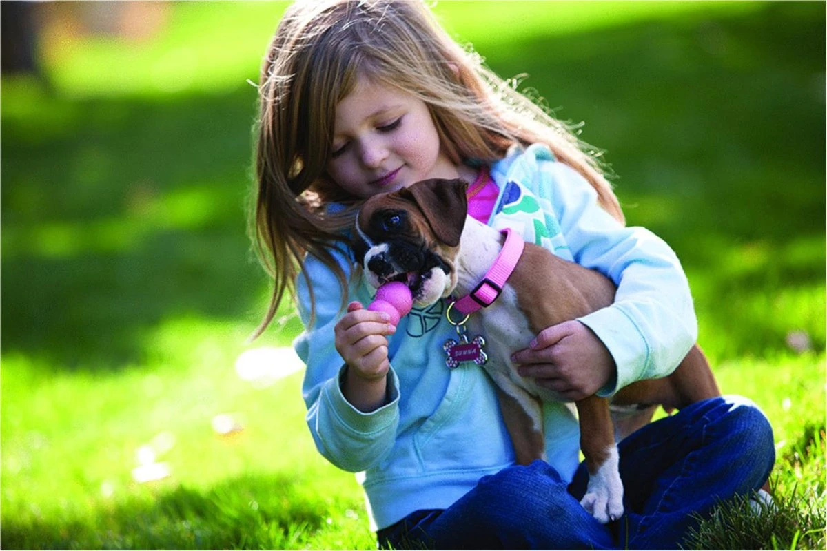 Kong Puppy - Kauwbot Hondenspeelgoed Small - Kauwbot - 85mm X 42mm - Groen/Wit - Afbeelding 5