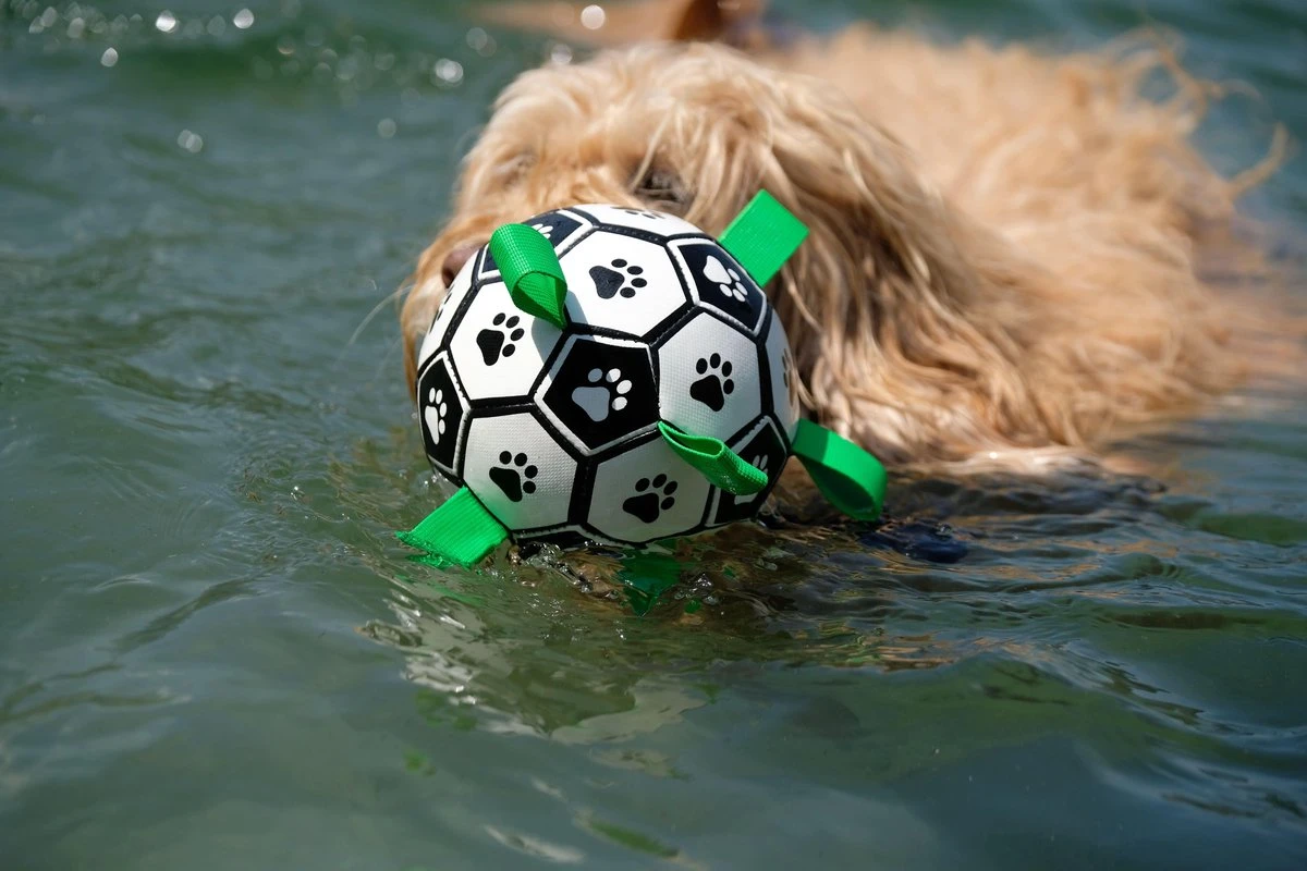 Honden Speelgoed Bal Voetbal Extra Sterk Met Handvaten Ball Hondenbal - 15 Cm - Dutchwide - Afbeelding 10