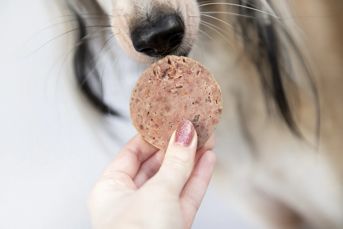 Kivo Petfood Houdbare Worsten INTRODUCTIEDOOS 6 X 600 Gram Smaken: Rund, Kip, Rund & Kip, Kip & Zalm, Eend En Lam - Zacht Gestoomd Vlees - Glutenvrij Geen Fratsen - Afbeelding 2