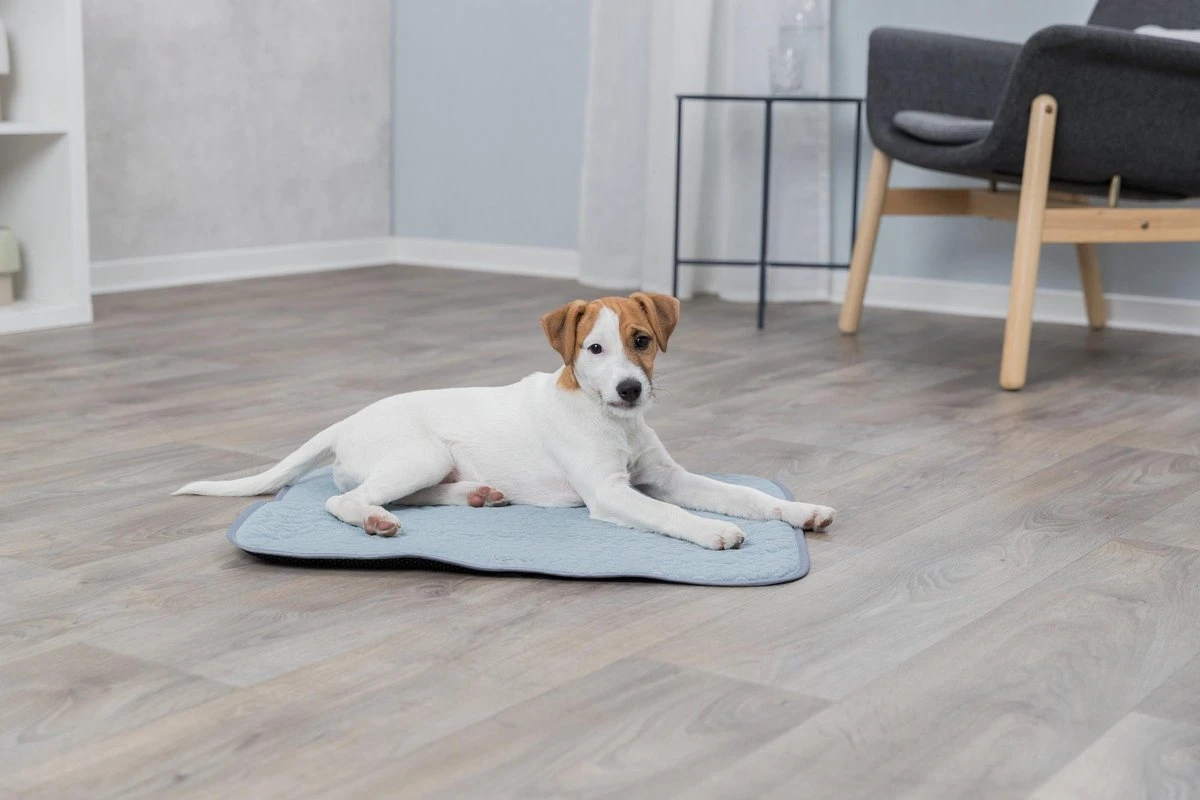 Trixie Junior Ligmat Fresh Lichtblauw - 60X50 CM - Afbeelding 6